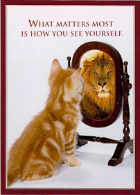 Lioncat
